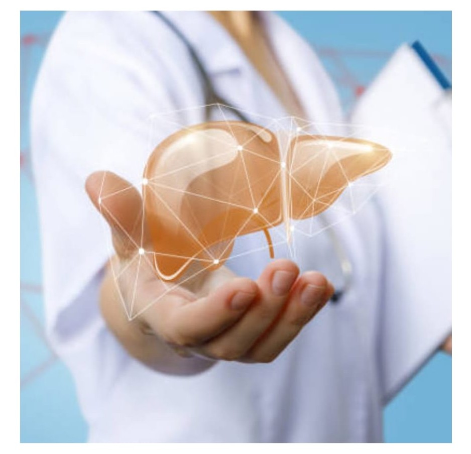 Gastrology & Liver Transplant 