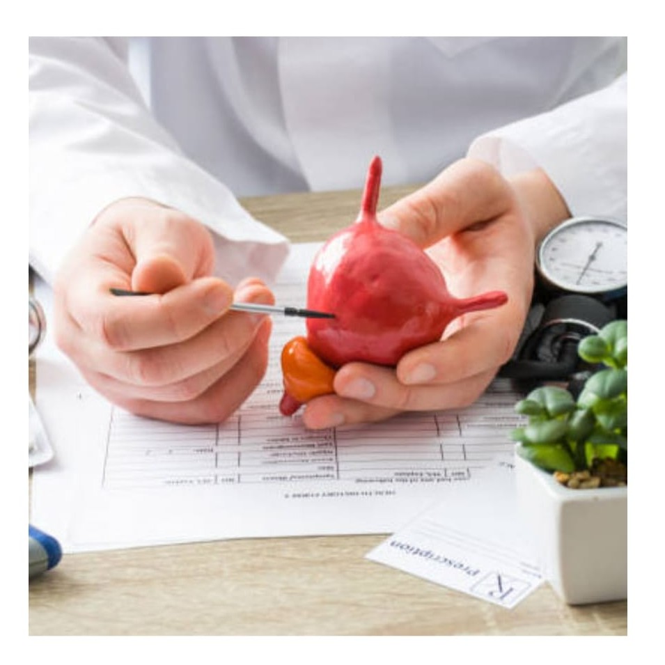 Urology