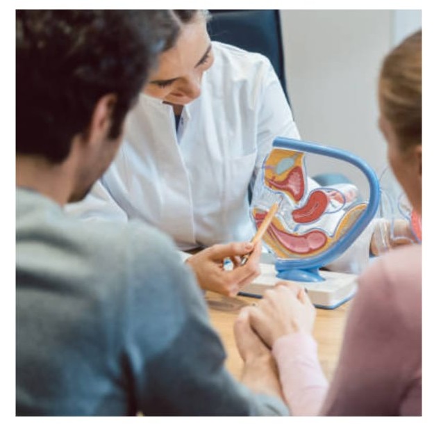 Gynaecology & Obstetrics IVF