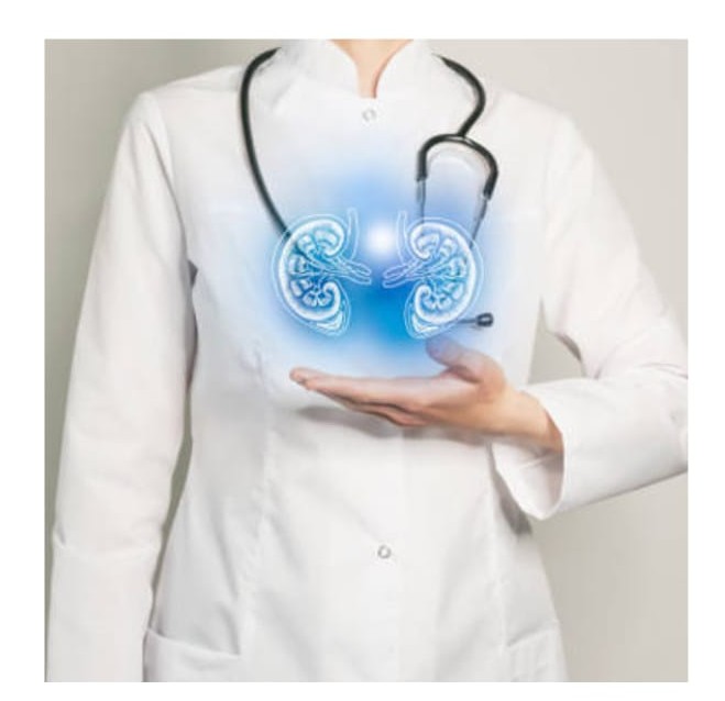 Kidney Transplant